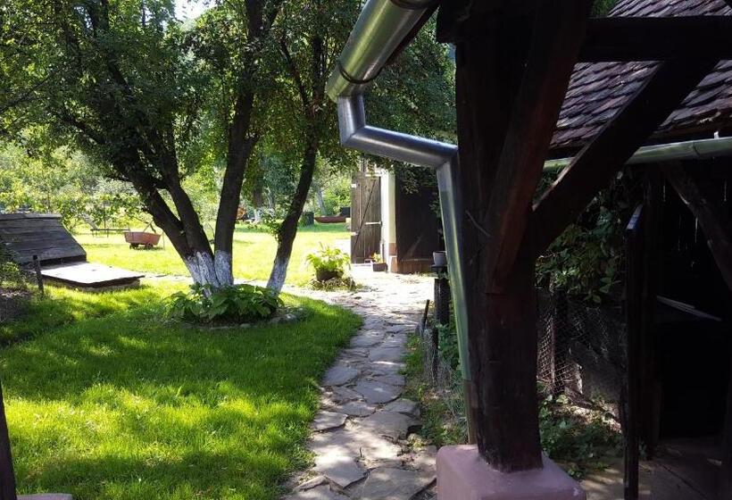 بنسيون Valchid Guest House