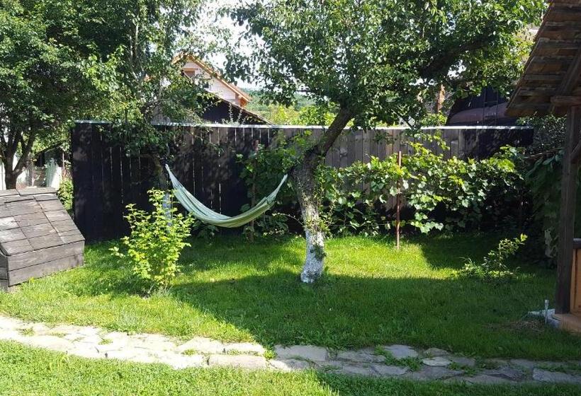 بنسيون Valchid Guest House