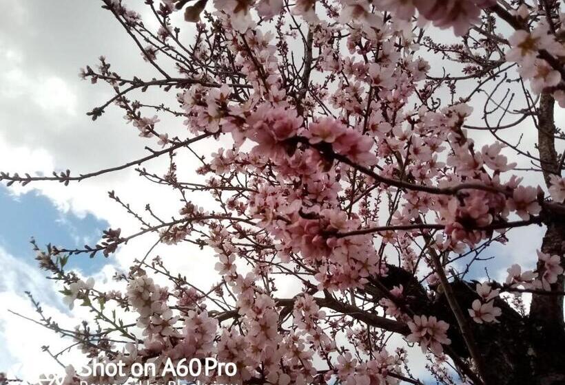 تختخواب و صبحانه Finca Esperanza