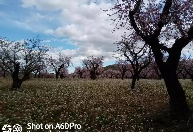 تختخواب و صبحانه Finca Esperanza