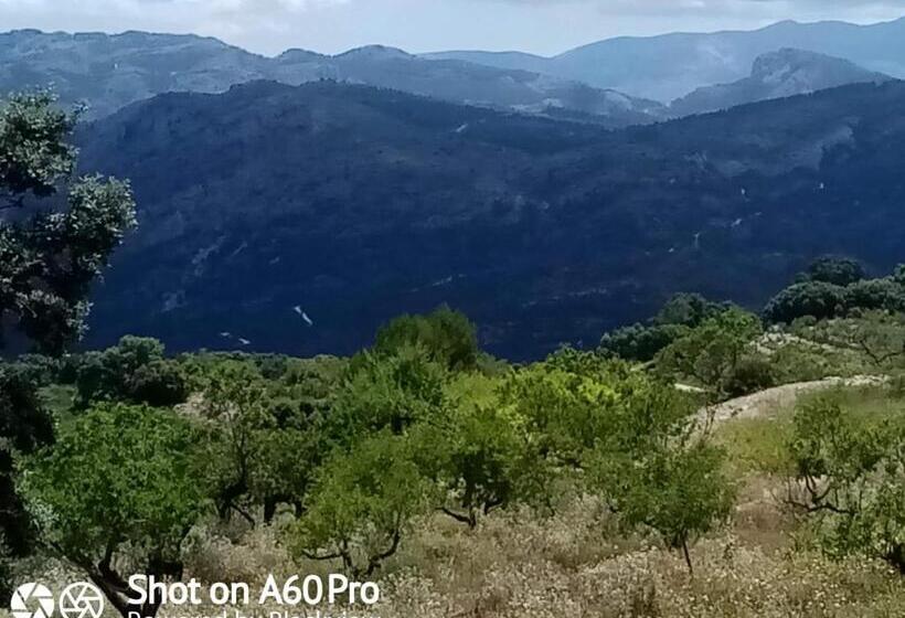 تختخواب و صبحانه Finca Esperanza