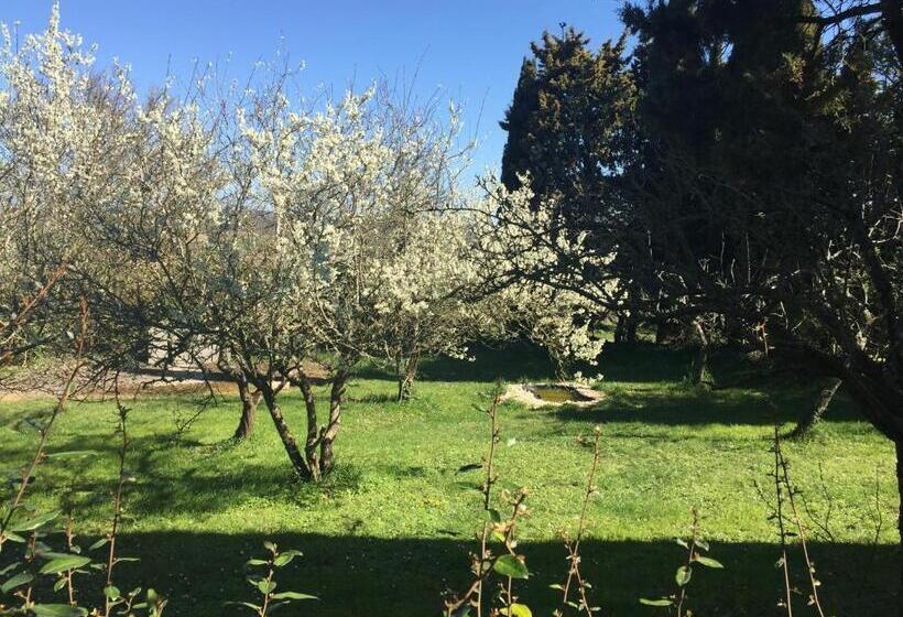 민박 La Maison Ocre