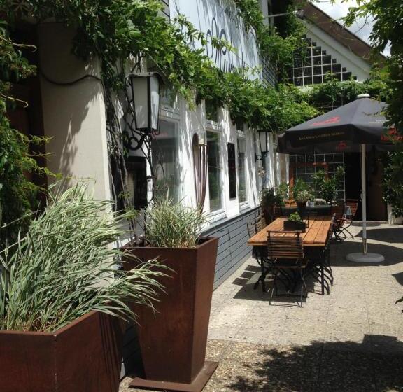 膳宿费 Murmeltier