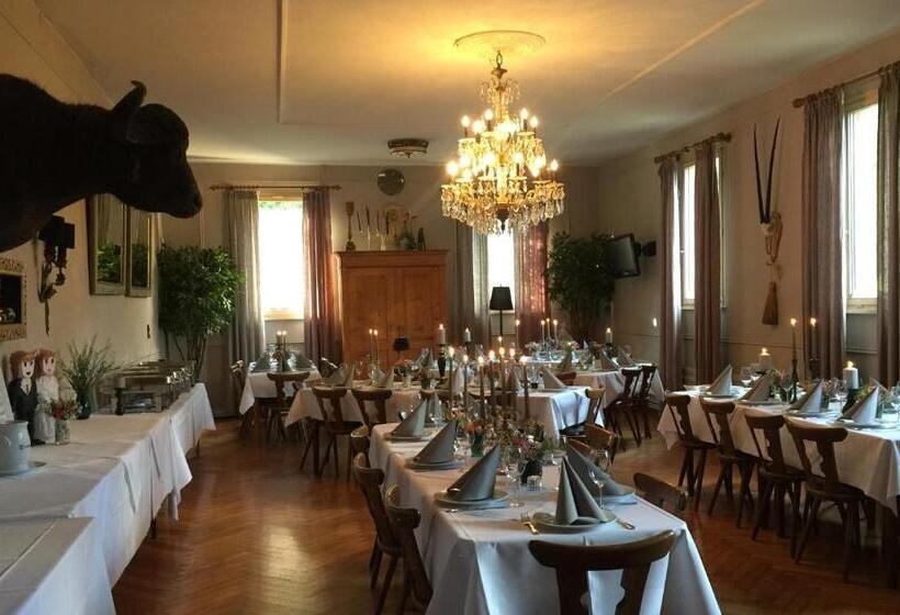 膳宿费 Murmeltier