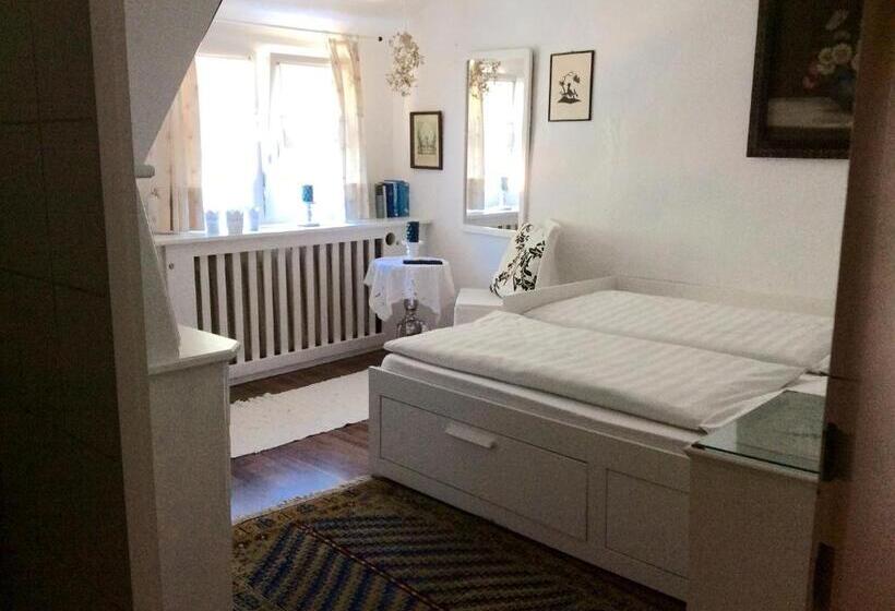 膳宿费 Murmeltier