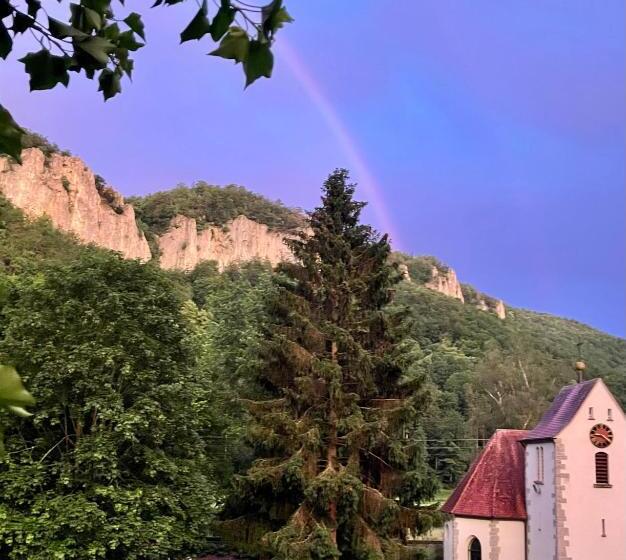 膳宿费 Murmeltier