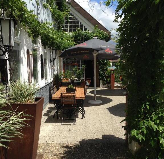 膳宿费 Murmeltier