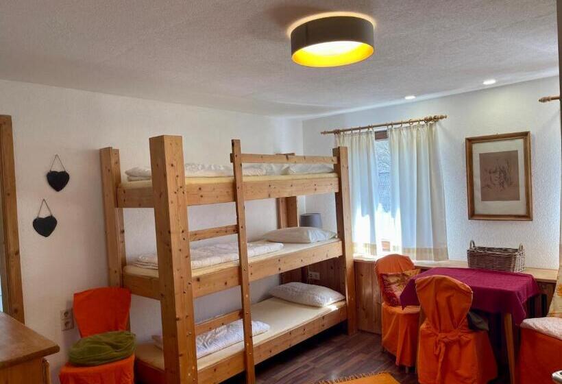 膳宿费 Murmeltier