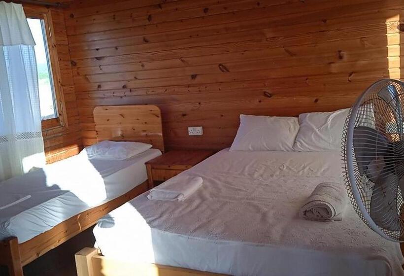 پانسیون Oasi̇s At Ayfi̇lon