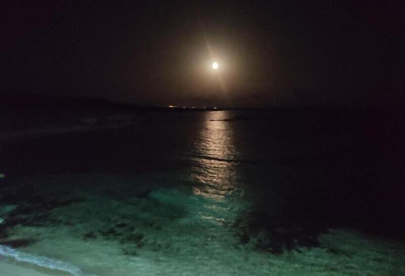 پانسیون Oasi̇s At Ayfi̇lon