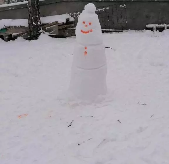 پانسیون Tara Bozic Apartmani