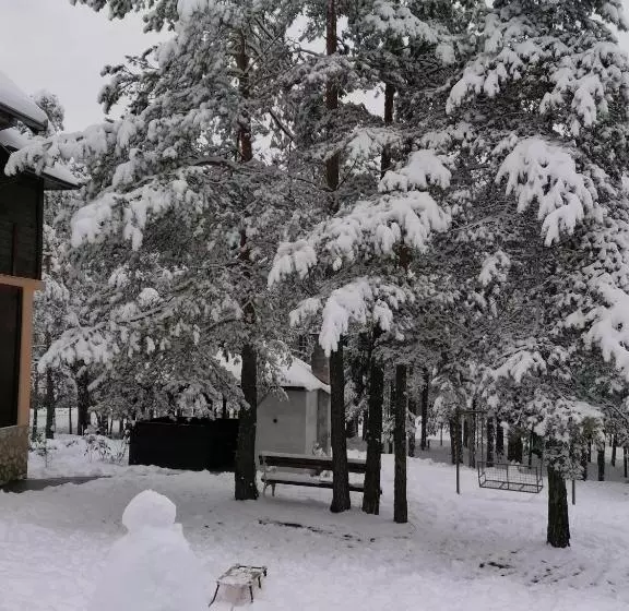 پانسیون Tara Bozic Apartmani