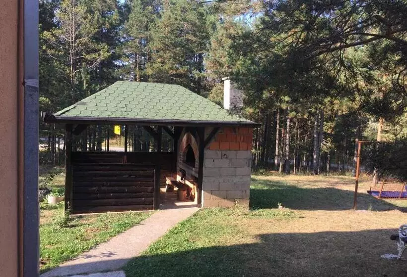 پانسیون Tara Bozic Apartmani