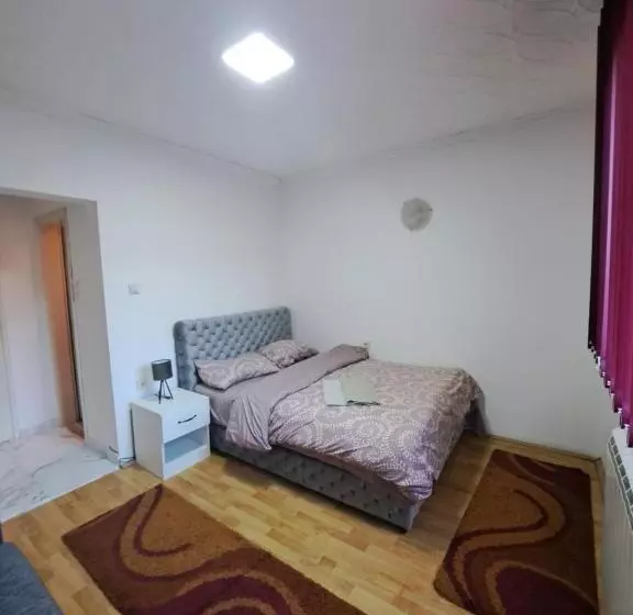 پانسیون Tara Bozic Apartmani