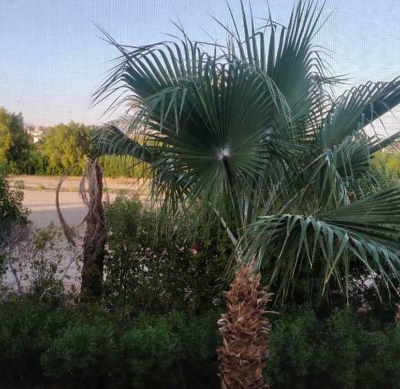 استراحتگاه دلتا شرم 209 82