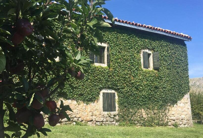 هاستل Old House Nilovic