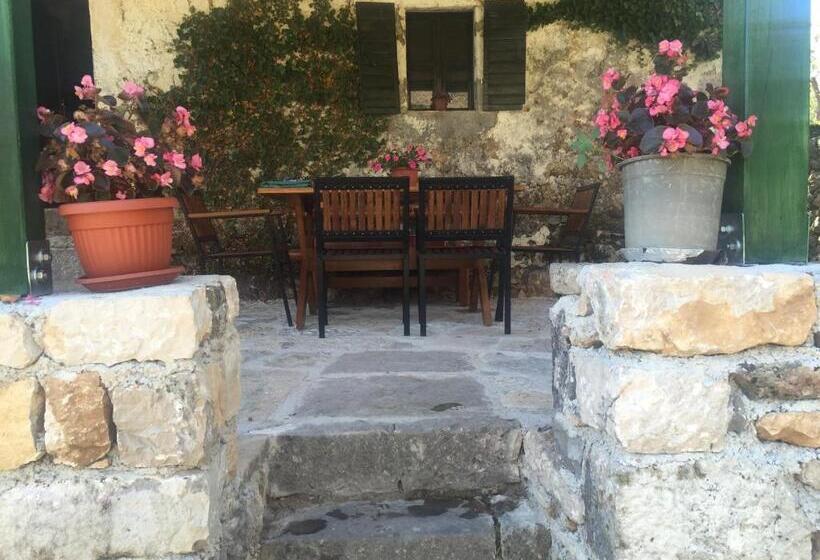 هاستل Old House Nilovic