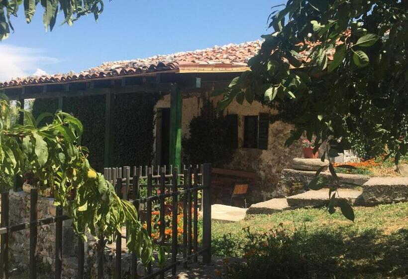 هاستل Old House Nilovic