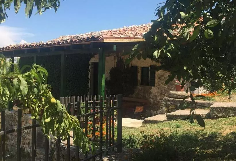 هاستل Old House Nilovic