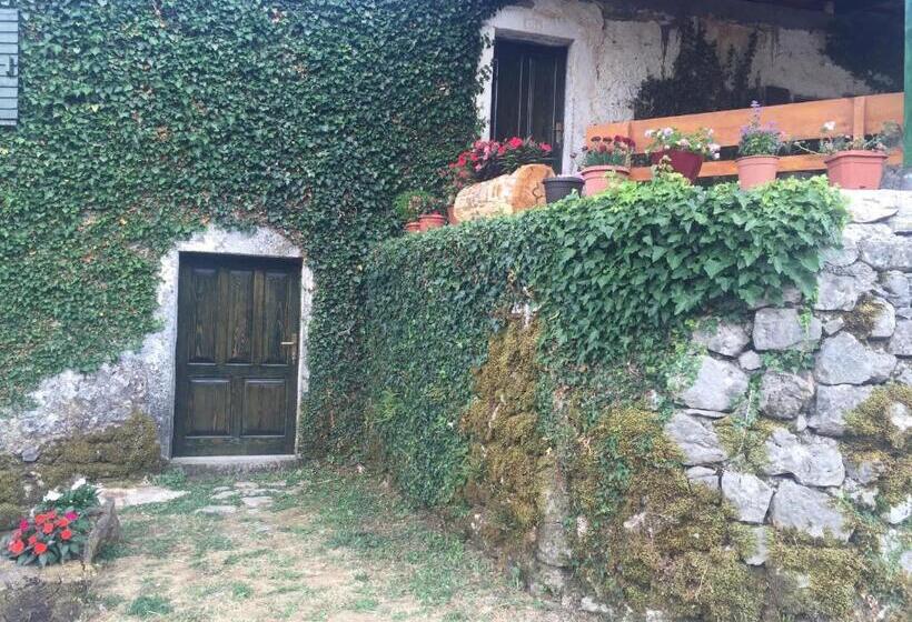 هاستل Old House Nilovic