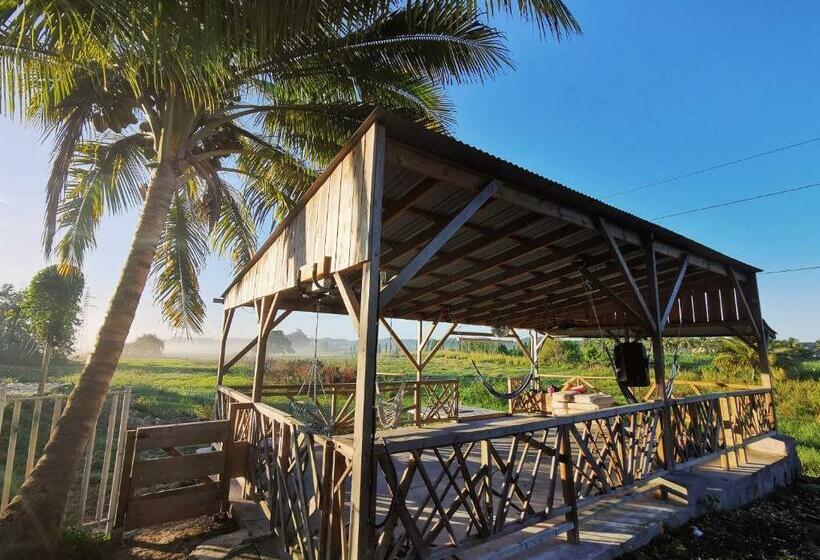 هاستل Ride In Youth And Surf Center