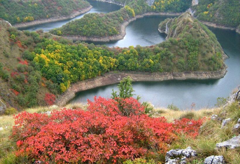 B&b Hisar International