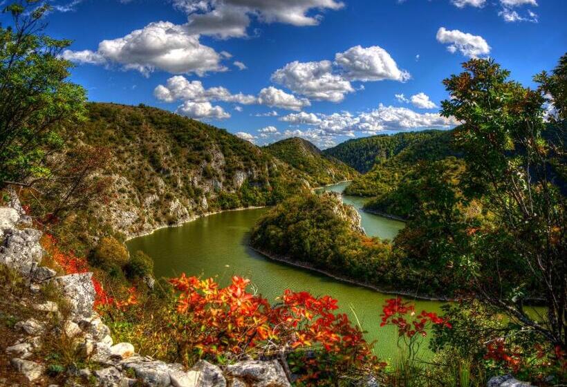 B&b Hisar International