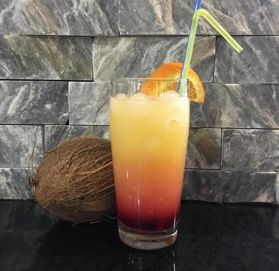 B&b Hisar International