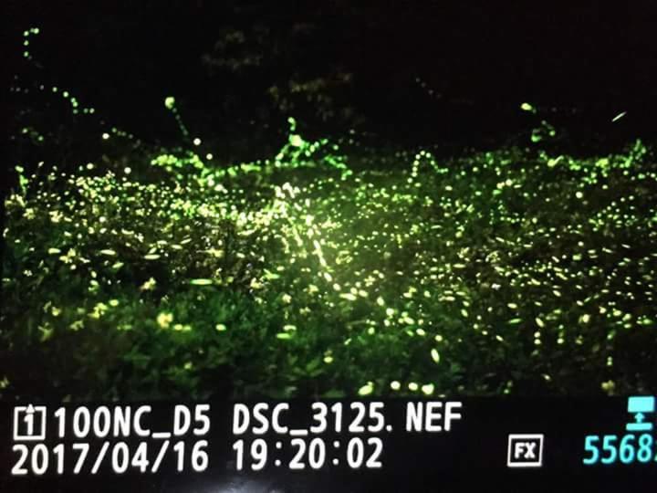 تختخواب و صبحانه Jingshan Landscape