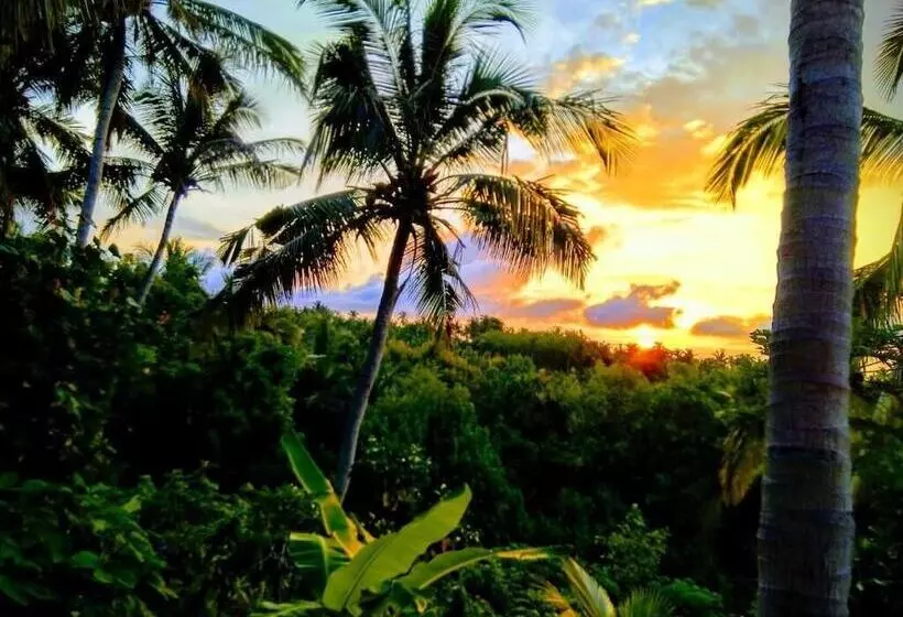 ペンション Atuh Forest Cottage