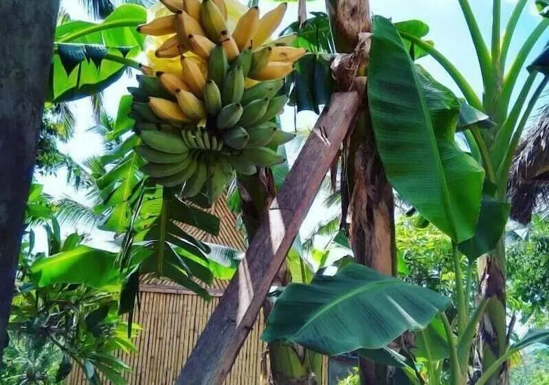 ペンション Atuh Forest Cottage