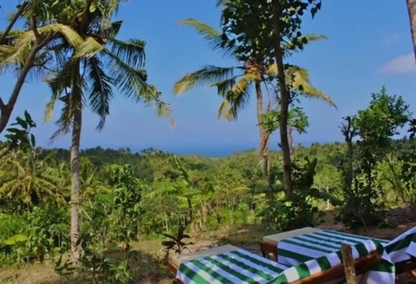 ペンション Atuh Forest Cottage