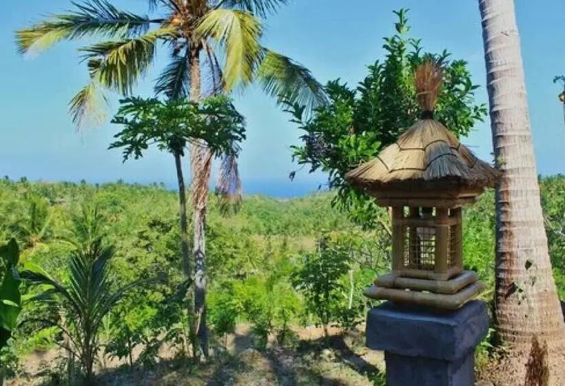 ペンション Atuh Forest Cottage