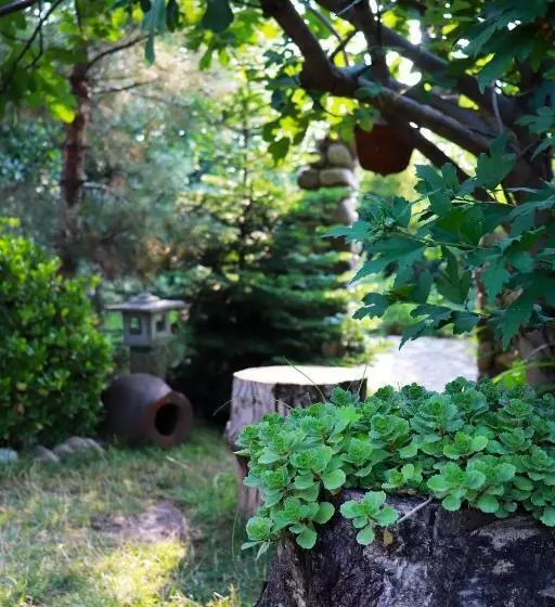 پانسیون Greengate