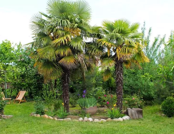 پانسیون Greengate