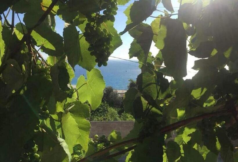 Pensjonat Joni S House