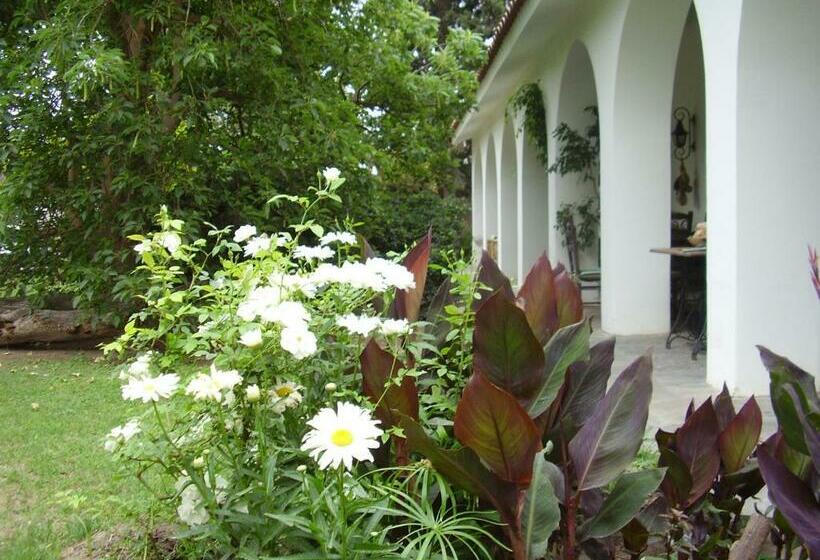 مبيت وإفطار Loft En Casona Colonial