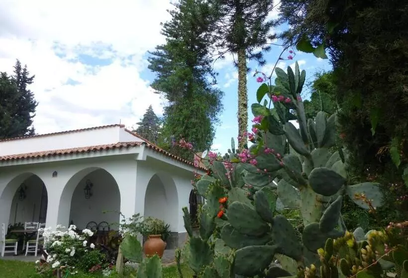 Aamiaismajoitus (B&B) Loft En Casona Colonial