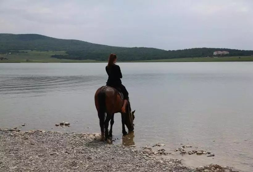 هتل Laguna Beach Club Bazaleti Lake