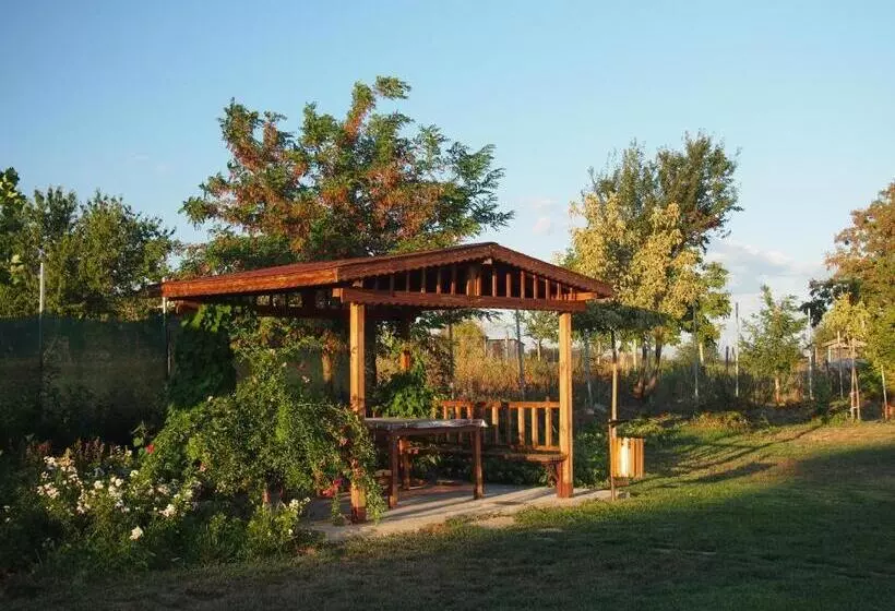 Hotelli Rumika Ecocenter