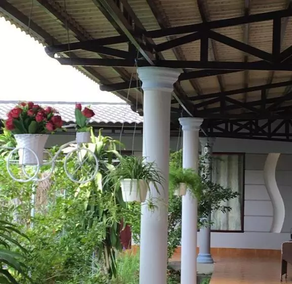 پانسیون Aurora Mekong