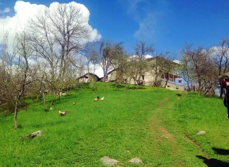 پانسیون Guest House Lankhvri