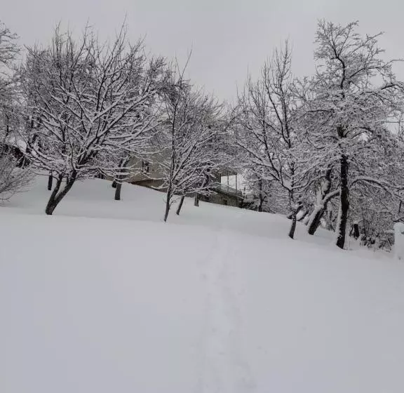 پانسیون Guest House Lankhvri