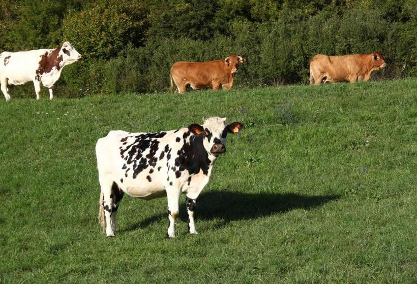 Пансион La Roulotte De La Maison Du Bonheur