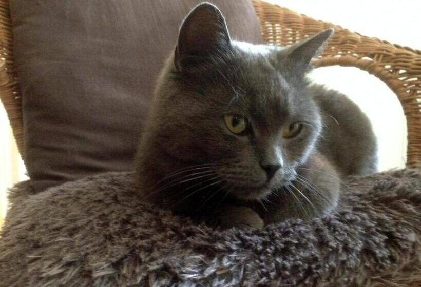 Пансион La Roulotte De La Maison Du Bonheur