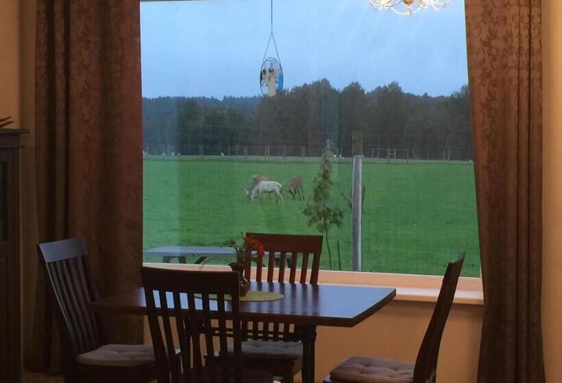 پانسیون More Guesthouse