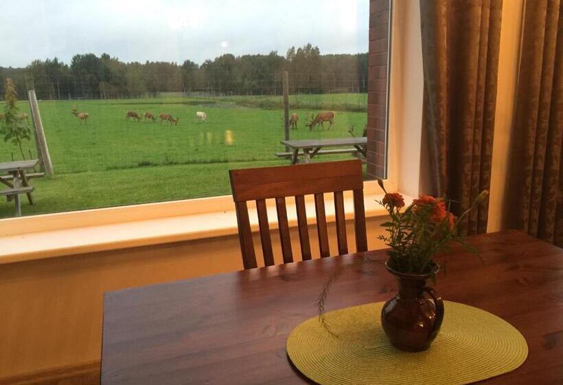 پانسیون More Guesthouse