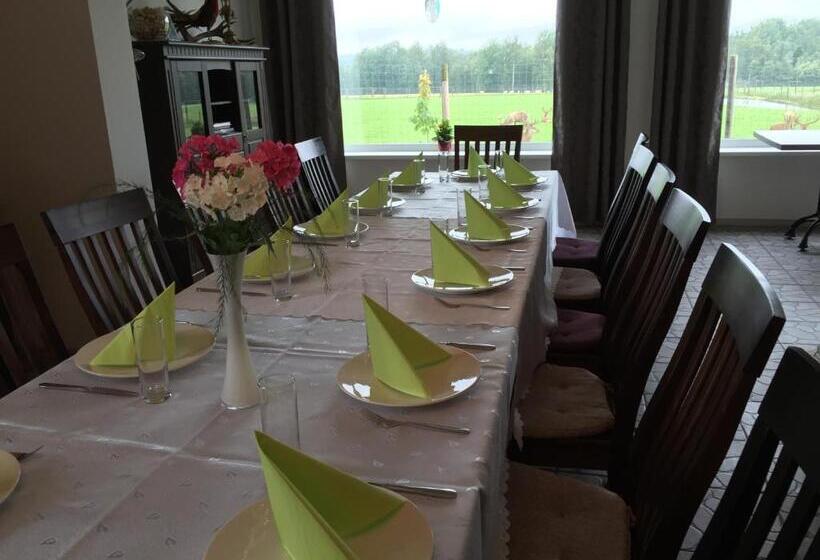 پانسیون More Guesthouse