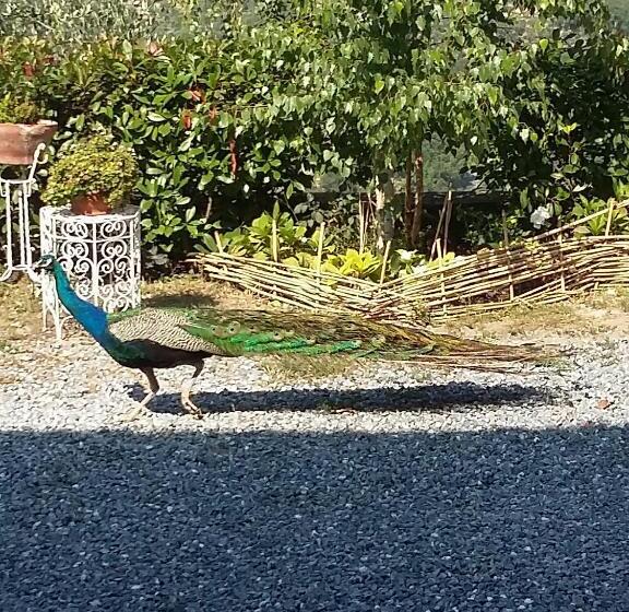 Пансион Villa Anna