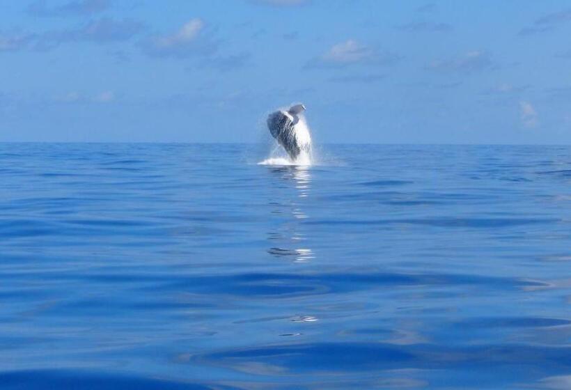 استراحتگاه Ankazoberavina